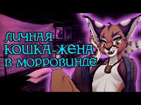 Видео: «Анасси, особый друг» разбор квеста | TES III: Morrowind