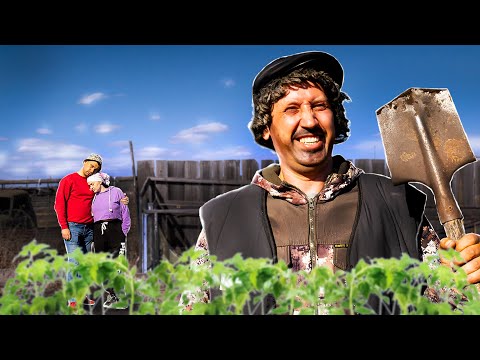 Видео: Дача строгого режима