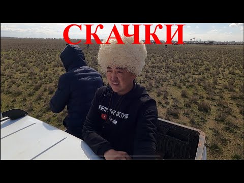 Видео: Скачки в Кунбатаре.2021г