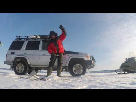 Видео: Рыбалка на корюшку на Бухте Мелководная.