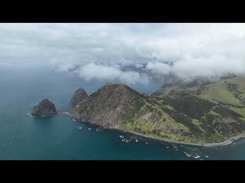 Видео: 50-е рыболовные выходные в Милане (дрон на высоте 1000 футов)