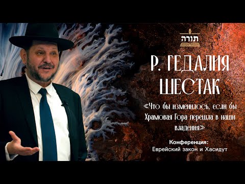 Видео: р. Гедалия Шестак «Что бы изменилось, если бы Храмовая Гора перешла в наши владения» — Тора Центр