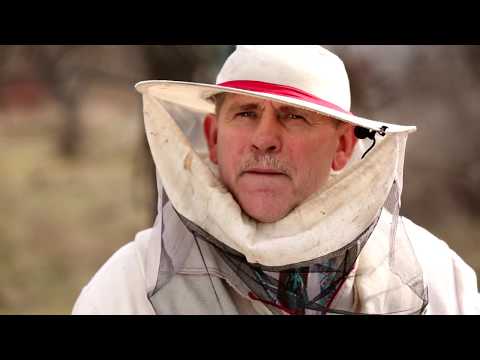 Видео: Пасечник №4 - Подкормка и ее виды