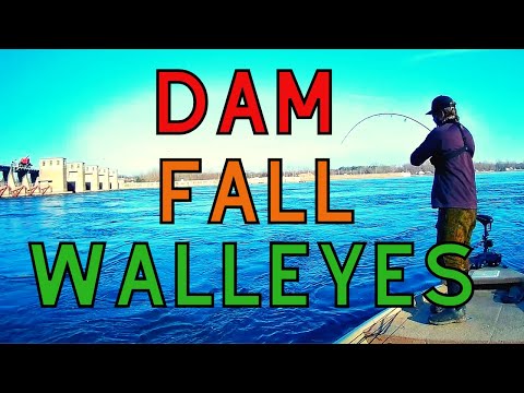 Видео: Судак на плотине | Судак и судак на реке Миссисипи | Ловля судака в ноябре