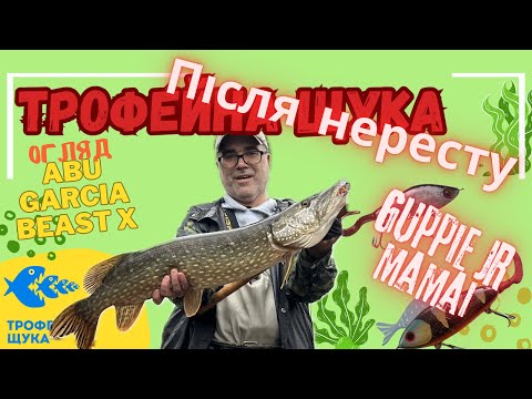Видео: Трофейне відкриття весняного сезону на джеркбейт. Приіхав з відром бігбейтів а зловив знов Guppie jr