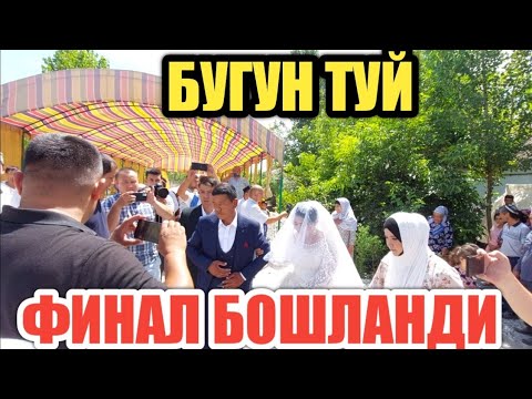 Видео: ВАЛИЖОНИ ТУЙИ ФИНАЛ УРААА