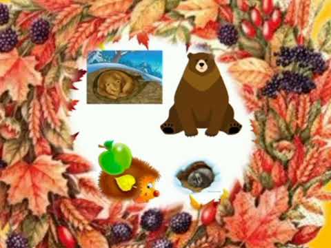 Видео: Розвиток мовлення "Зимові приготування звірів"