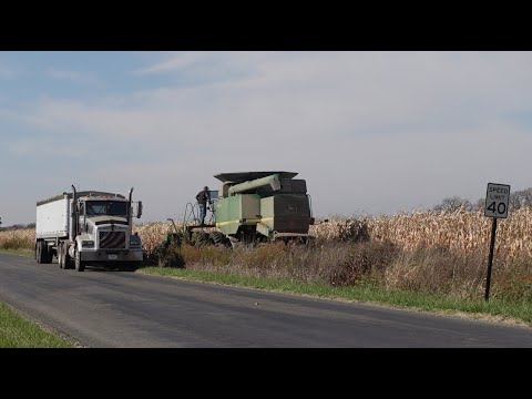 Видео: Как комбайн собирает кукурузу. Ферма в Индиане