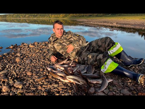 Видео: НА ХАРИУСА В ТАЙГУ! МОНСТРЫ В РУЧЬЕ! РЫБАЛКА НА СЕВЕРЕ!