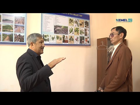 Видео: БАДАМ ОРМАН: ҮШ ЖЫЛДА 1 МИЛЛИОН ТҮПТЕН АСТАМ КӨШЕТ БОСАТТЫ