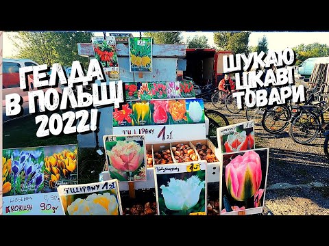 Видео: ГЕЛДА В ЛЮБІНІ. БАРАХОЛКА В ПОЛЬЩІ 2022! ЩУКАЮ ЦІКАВІ РЕЧІ НА ПОЛЬСЬКОМУ РИНКУ.