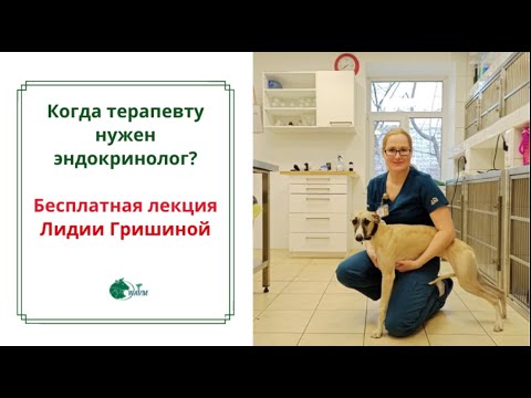 Видео: Зачем терапевту нужен эндокринолог? [#YouTube_ветеринарные_курсы)