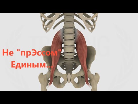 Видео: Активация сгибателей поясницы и нижних конечностей.