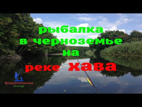 Видео: Рыбалка на реке Хава в День Рыбака!
