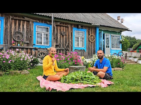 Видео: Отсчет пошел - первые заготовки на зиму! Подвязка томатов и оладьи из кабачков по-деревенски!