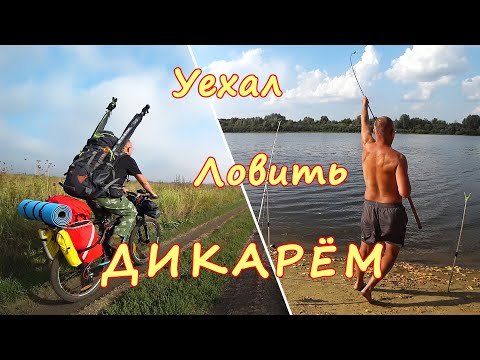 Видео: ДИКАРЁМ на Оку. ВЕЛОПОХОД, РЫБАЛКА. Прощание с Летом!