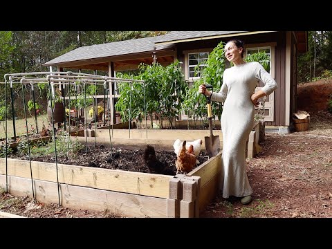 Видео: Куриные Проблемы | Выкапываю Тонну Картошки| 3 Блюда Из Капусты | Семейный Влог | Эгине | Heghineh