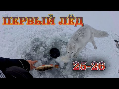 Видео: Первый лёд 25-26. Боремся с песцами за рыбу.
