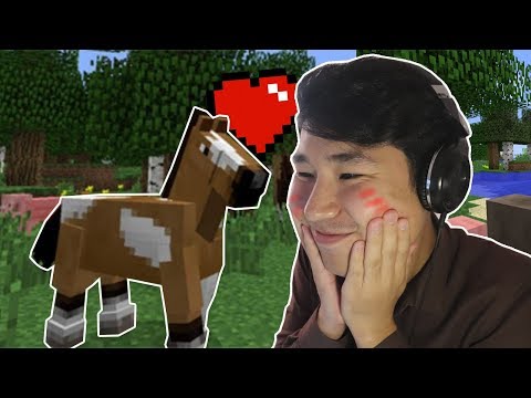 Видео: Сүйкімді жылқы таптым!