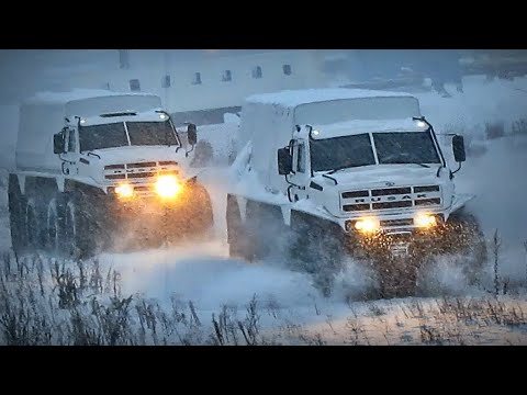 Видео: «Русак» выходит в разведку. Таких ещё не было!