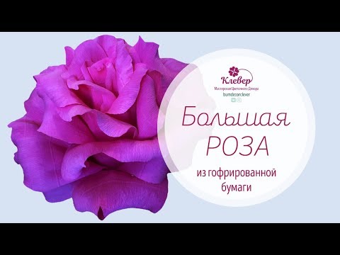 Видео: Большая роза из гофрированной бумаги