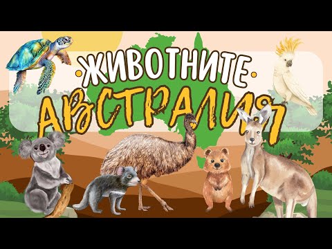 Видео: Животните в Австралия | Сладки животни | за най-малките 🦘🐢🐨