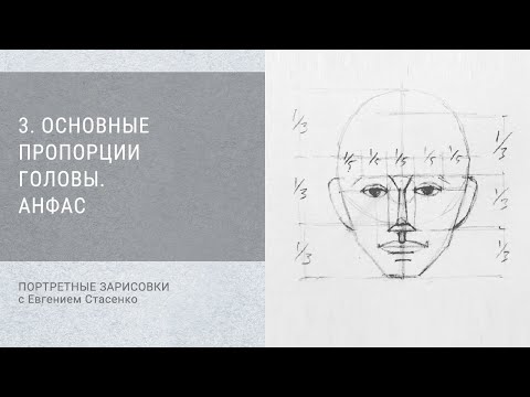 Видео: 3. Основные пропорции головы. Анфас / Портретные зарисовки
