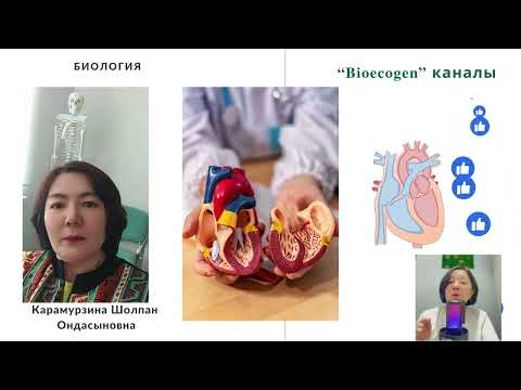 Видео: 10_класс_Жүрек жұмысы_ ЭКГ#Биология#ҰБТ