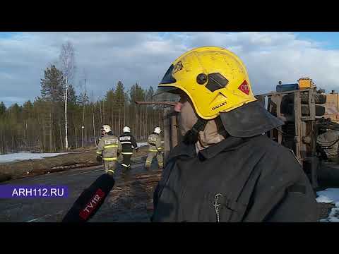 Видео: ДТП на трассе М-8: один человек погиб при столкновении лесовоза и внедорожника