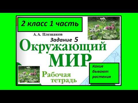 Видео: Какие бывают растения 5 задание. Окружающий мир 2 класс рабочая тетрадь. Пронумеруй рисунки