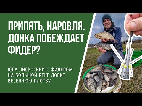 Видео: Ловля фидером на Припяти. Неужели обычная донка более уловиста?