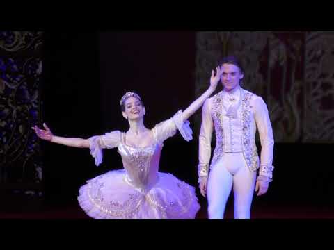 Видео: 18.04.19 Э.Севенард и Д.Родькин. Вечер в ГКД "130 лет В. Нижинскому,.