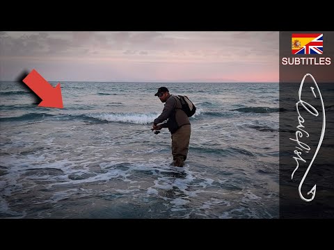 Видео: Ловля морского окуня между песком и камнями в спокойном море: куда забросить и как достать наживку.