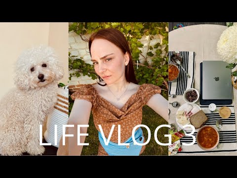 Видео: ЛЮБИМЫЕ ДУХИ | ПРОБУЕМ КОНСИЛЕР | НОВЫЕ ТАРЕЛОЧКИ | ГОТОВИМ БОРЩ | КОФЕЙНЯ | БУДНИ С ПУДЕЛЯМИ | VLOG