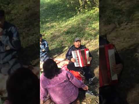 Видео: Аксылыкмын мен ошол аксылыкмын (Алмаз Авлетим)