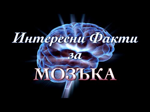 Видео: КАКВО НЕ ЗНАЕМ ЗА МОЗЪКА?
