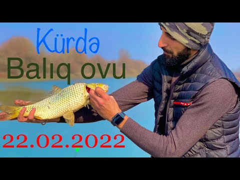 Видео: Kür çayında balıq ovu | рыбалка на реке Кура | fishing |