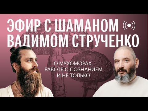 Видео: Эфир с Шаманом. Беседа о мухоморах, работе с сознанием и не только | Михаил Вишневский