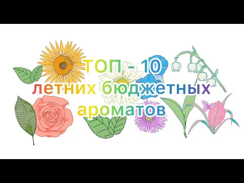 Видео: Топ-10 бюджетных ароматов на лето.