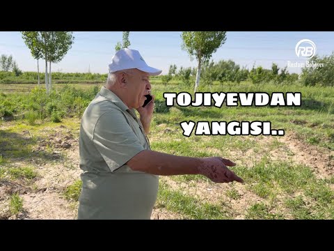 Видео: МИЛЛИАРДЕР КУМДА…( ХАЗИЛНИ ЁМОНИ 😂)