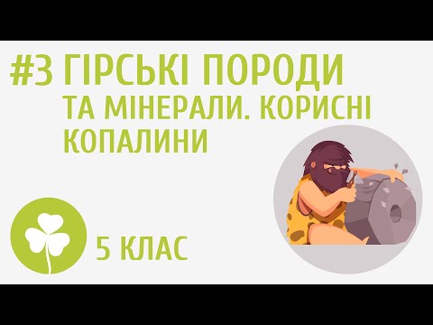 Видео: Гірські породи та мінерали. Корисні копалини #3