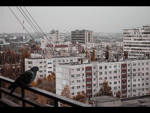 Видео: Несогласие - Всё в порядке, всё пройдёт (Doomer version)