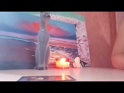 Видео: Скрытые желания мужчины 💌❤️‍🔥🫦