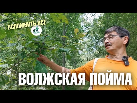 Видео: Экологическая экскурсия по Копосовской дубраве и Волжской пойме