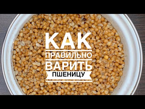 Видео: Как правильно сварить пшеницу для рыбалки. Лучшая насадка на леща, плотву, красноперку, голавля