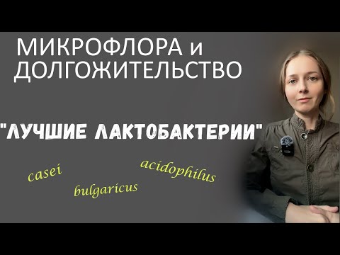 Видео: Стойкие противоопухолевые лактобациллы... Мечников о болгарской палочке...  -Хеликобактер-