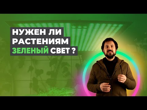 Видео: Зеленый Спектр Растениям НЕ НУЖЕН?