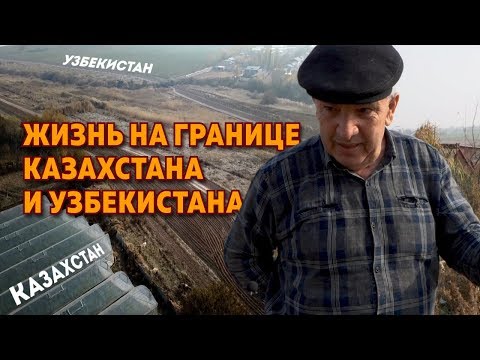 Видео: Жизнь на границе Казахстана и Узбекистана