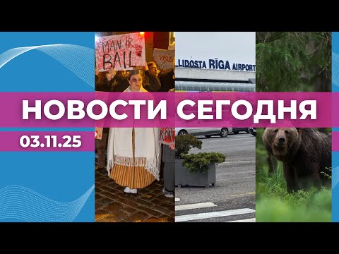 Видео: Голоса за Стамбульскую конвенцию | Планы аэропорта «Рига» | Кто убил медведя?