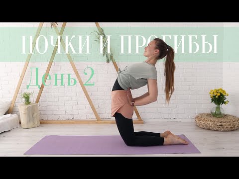 Видео: Йога Флоу | Почки - очищение. День 2